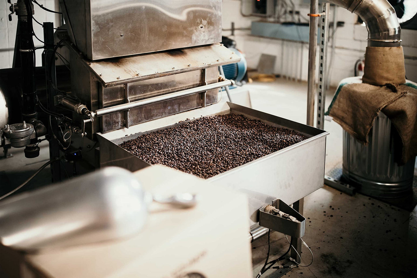 Costa Rica Tarrazu Dark Roast Coffee Beans (5 Lbs), Dark Roast, Good As Gold Coffee Roasters