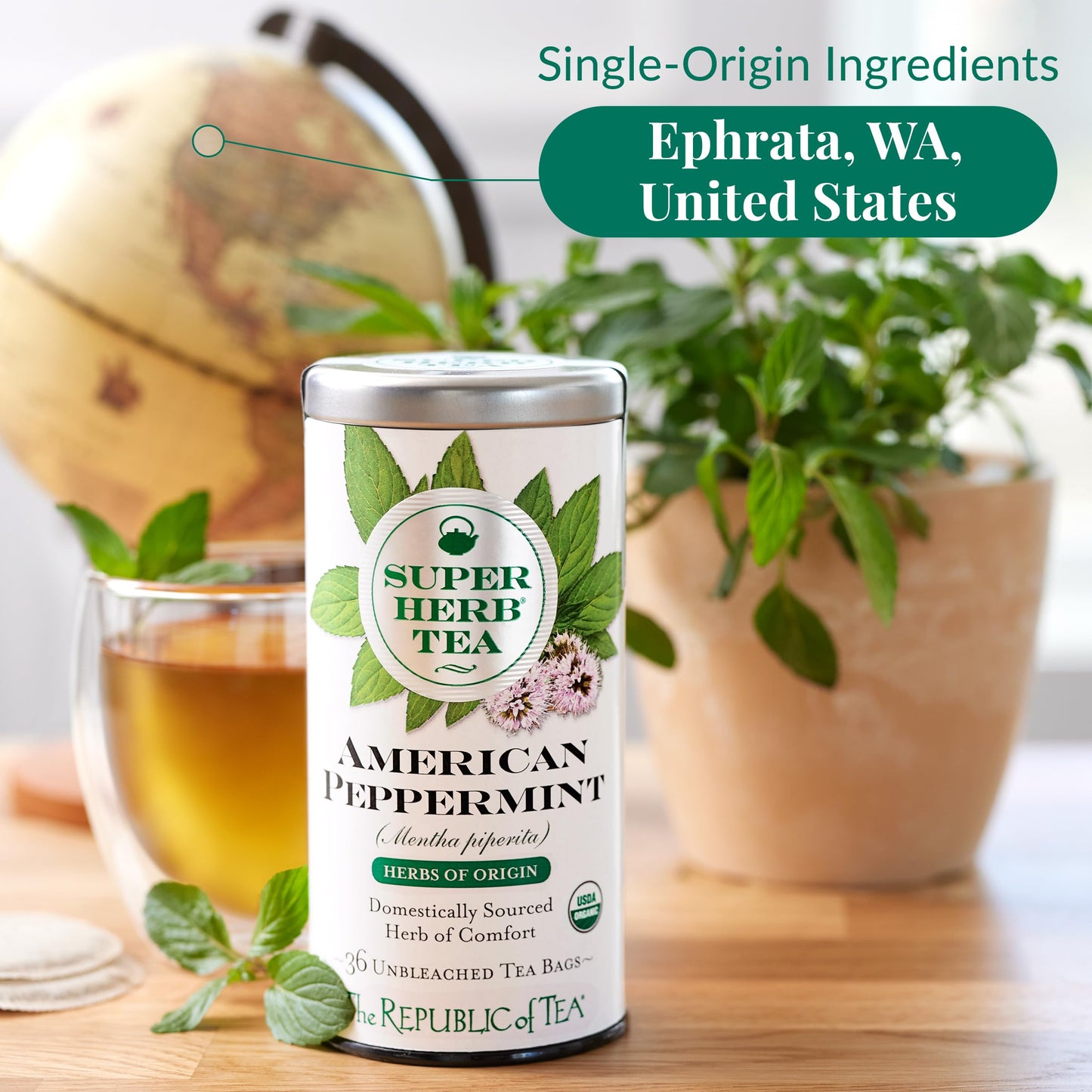 The Republic of Tea Organic Peppermint Herbal Tea - 36 Tea Bags, 1 Count