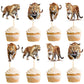 Ercadio 24 Pack Leopard Cupcake Toppers Leopard Cupcake Picks Animal Cupcake Picks Leopard Birthday Cupcake Decorations for Baby