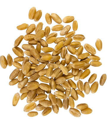 Palouse Brand Certified Glyphosate Residue Free | Hard White Wheat Berries | 15 LBS | Family Farmed in Washington State | Sprout
