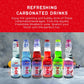 Shirakiku Ramune Japanese Soda Variety Pack | Japanese Marble Soda In Multiple Flavors | Original, Strawberry, Melon, Lychee, Gr
