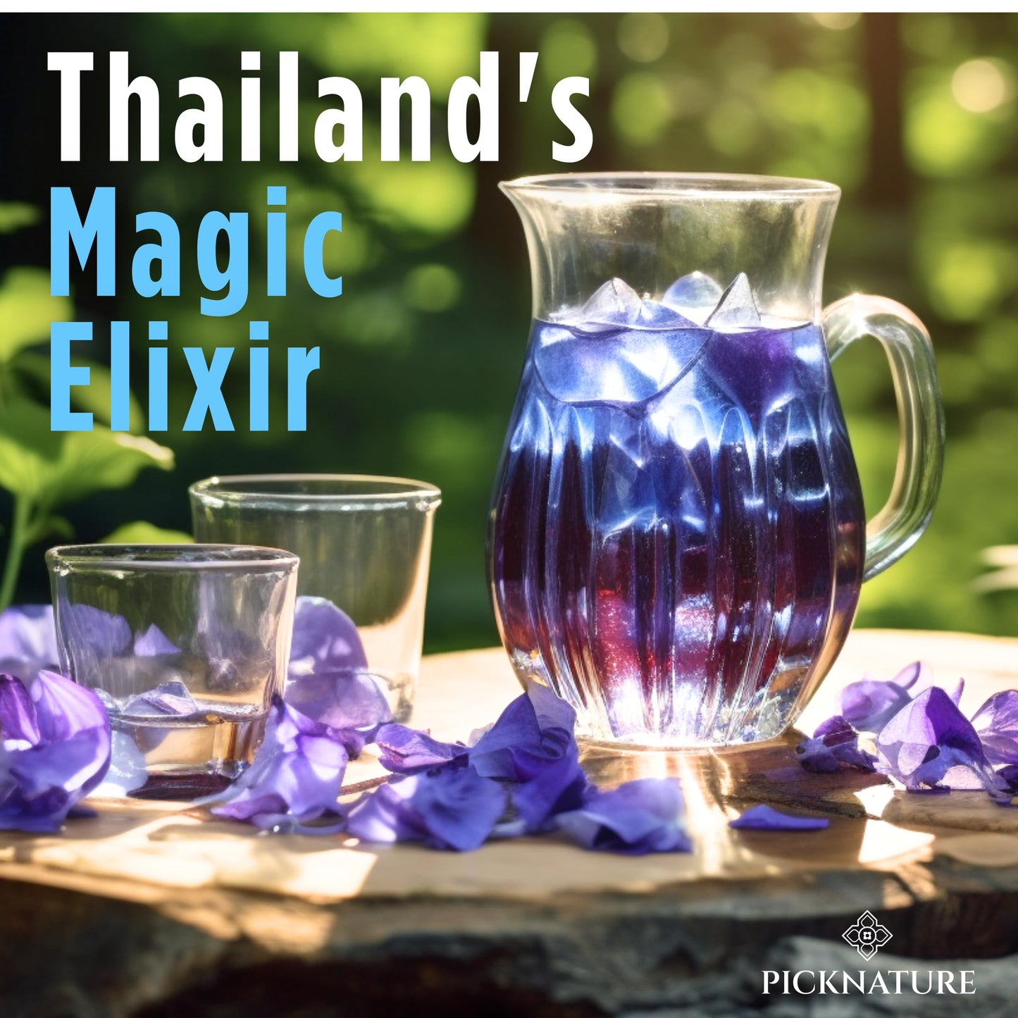 Picknature Butterfly Pea Flower Tea Loose Leaf Freshly Picked From Thailand | 3.5 Oz (300+ Cups) | Herbal Blue Tea Gifts | Usda Organic