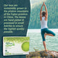 Matcha Teabags Matchadna Certified Organic Matcha Green Tea By Matcha Dna - 100 Teabags