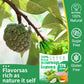 Egcina Dried Soursop Leaves for Tea - 100% Natural, Caffeine Free, 2.47 oz (70 g)