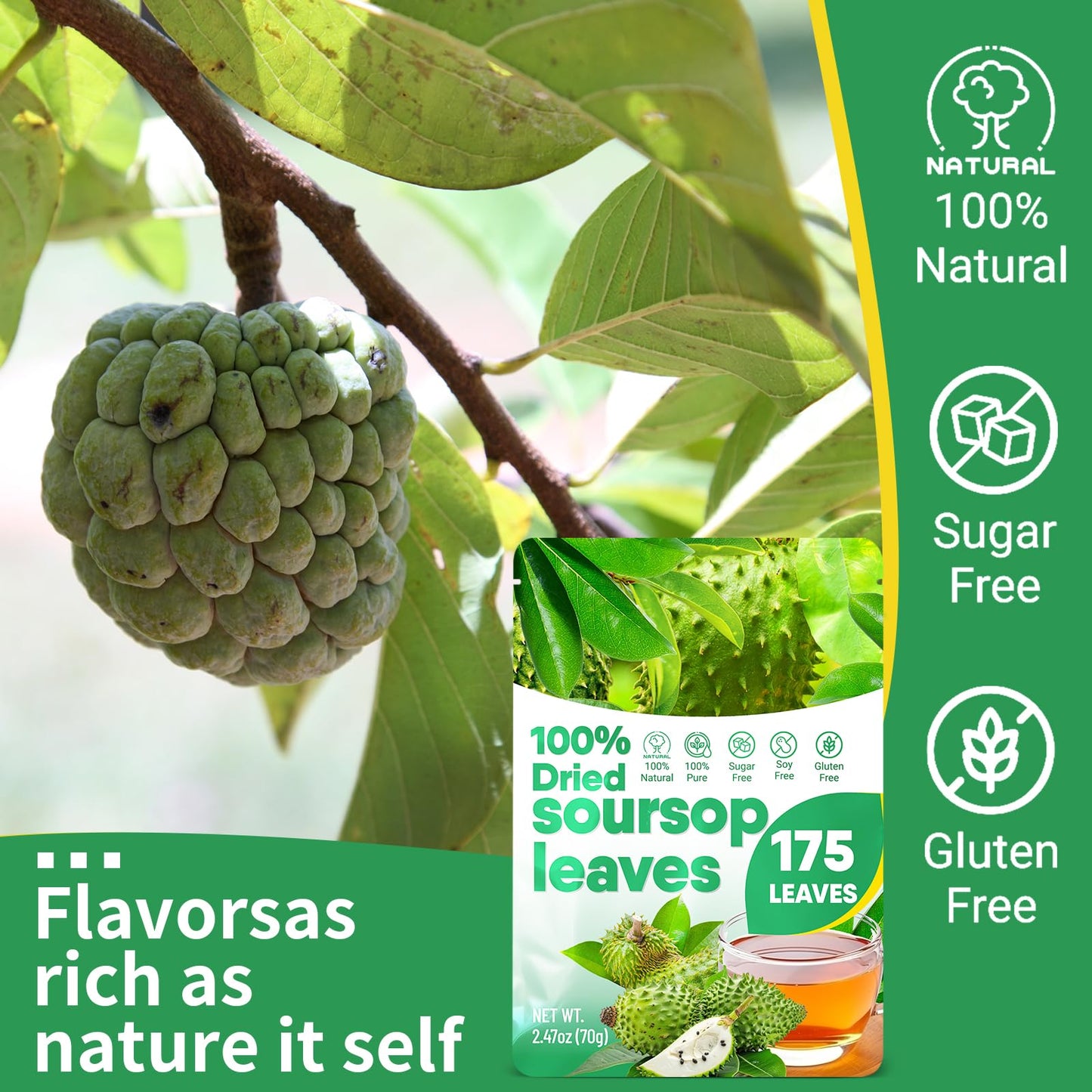 Egcina Dried Soursop Leaves for Tea - 100% Natural, Caffeine Free, 2.47 oz (70 g)
