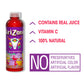 Arizona Fruit Punch Juice Cocktail, 20 Fl Oz, Pack of 12