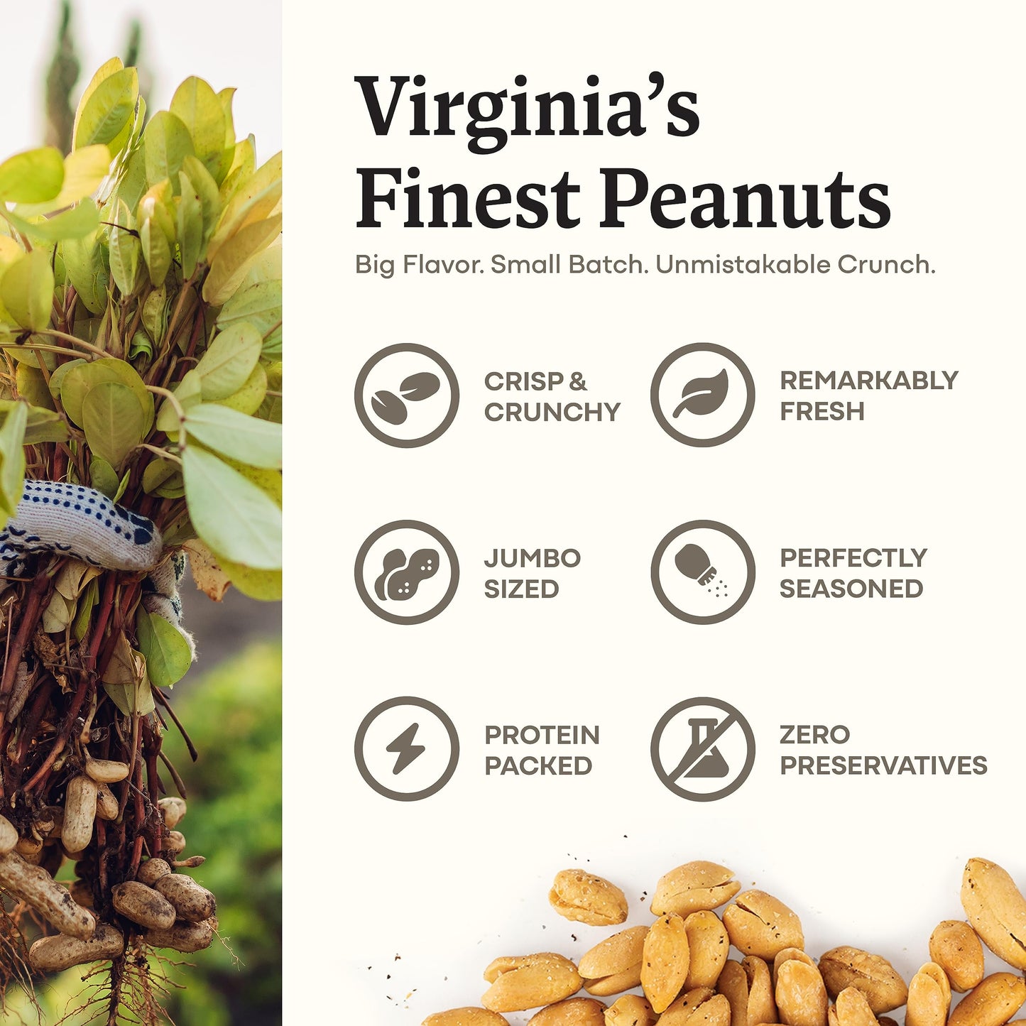 Belmont Peanuts Gourmet Sea Salt & Black Pepper Virginia Peanuts, 25 oz, 4 Simple Ingredients, No Preservatives, 7g Protein