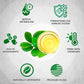 Yerba Mate Tea - Green Cut & Sifted - Unsmoked Energy Boost - 50 Tea Bags - Packed With Nutrients - Your Perfect Coffee Replacem