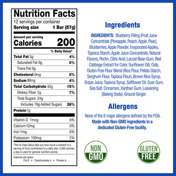 Betty Lous Fruit Bars, Blueberry Pack of 12, Gluten Free, Vegan, Non GMO, Deliciously Healthy Snacks Made with All Natural Frui