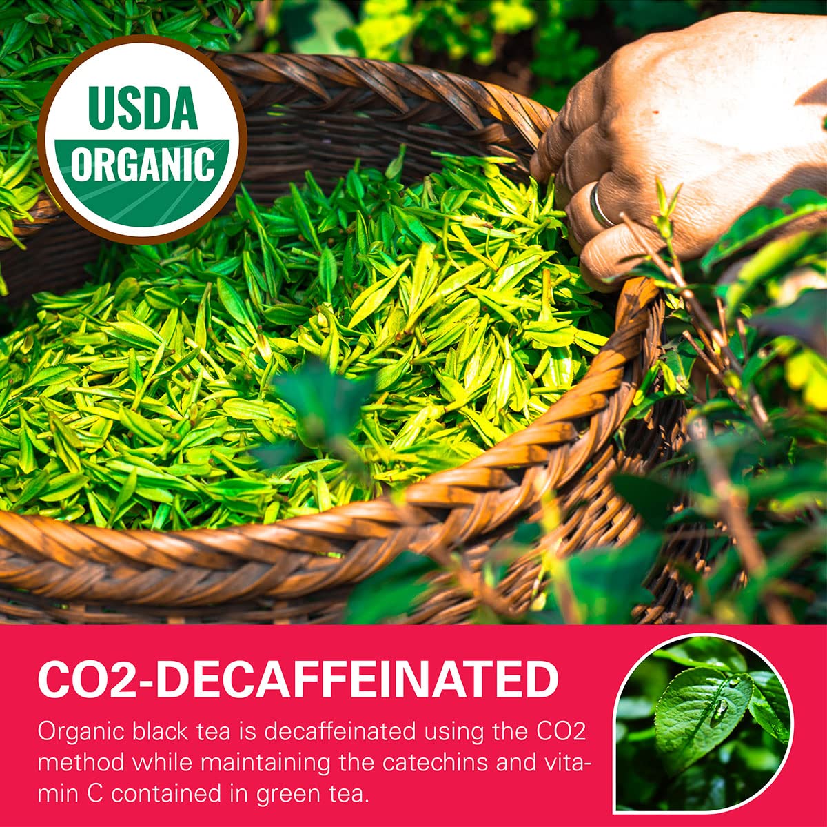Wt Weetee Organic Decaf Black Tea Bags, Organic Decaffeinated Black Tea 200 Count | Smooth & Mild Taste | Co2-Decaffeinated | Resealable Kraft Bag