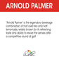 Arizona Arnold Palmer Half Tea Lemonade, 16.9 Fl Oz, Pack Of 20