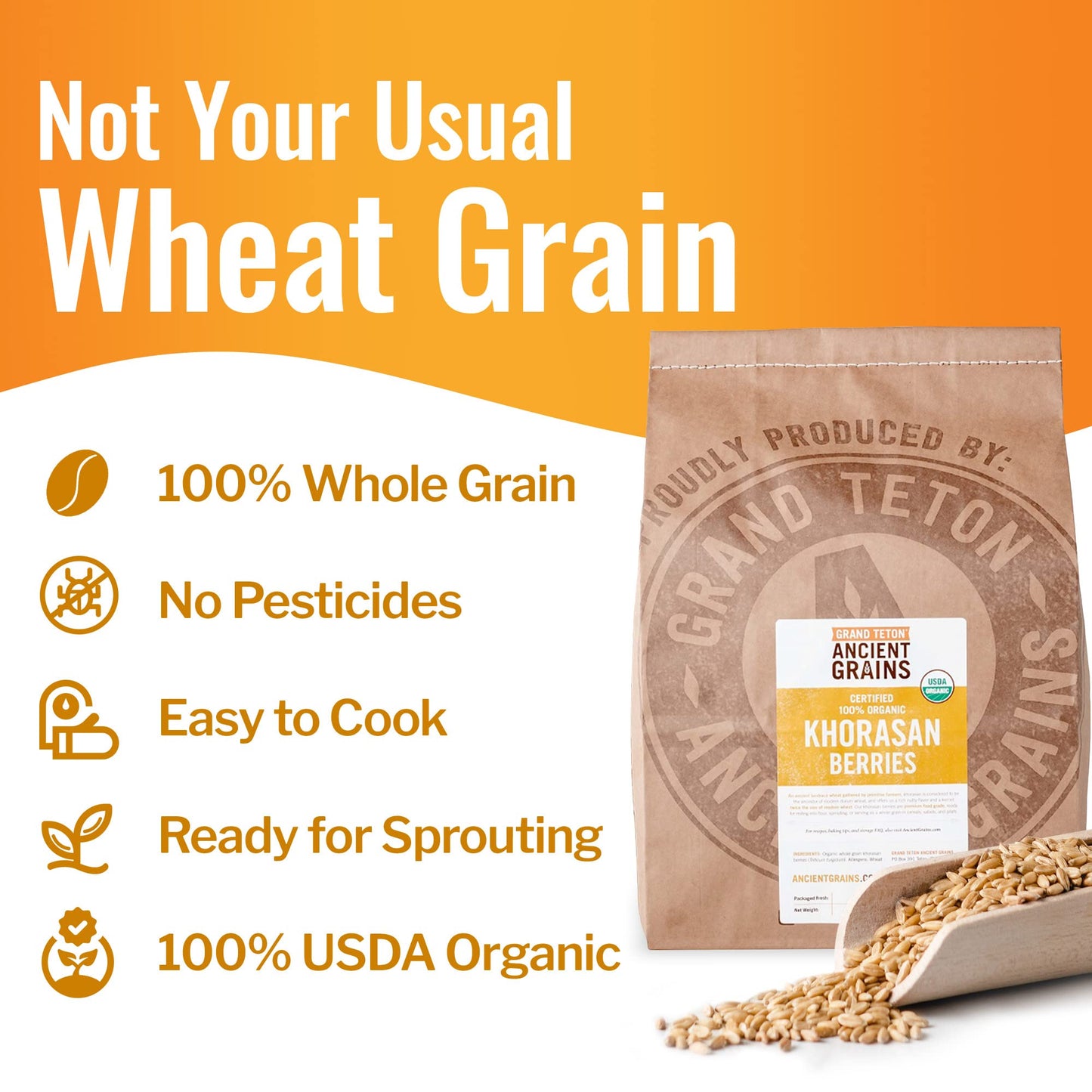 Grand Teton Khorasan Wheat Berries, 100% Organic, Premium Food-Grade, 25 lbs