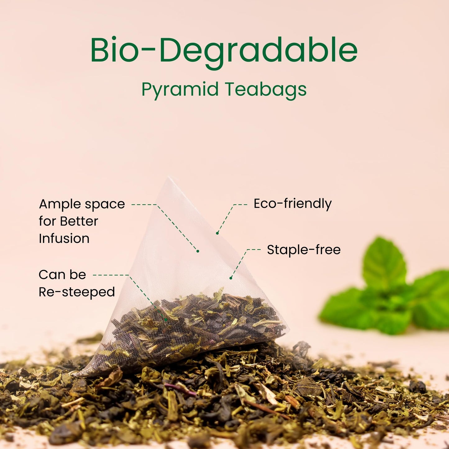 Teaniru, Spearmint Green Tea - 30 Count | For Quick Digestion & Healthy Skin | High In Antioxidants, Vitamin C & Iron | Your Any