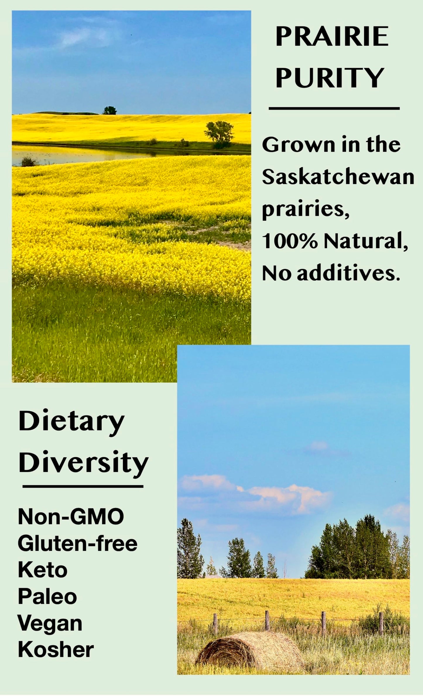 SUNYEAH Flaxseed Oil - 100% Pure, Cold Pressed, Non-GMO - 33.8 Fl Oz