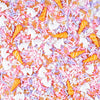 Unicorn Sprinkles Edible, Pink Purple Sprinkles for Cake Decorating,Cake Sprinkles Mix Unicorn, Horn, Jimmies, Nonpareils, for C