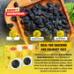 Sunbest Natural Jumbo Raisins Black 48 Oz (3 Lbs) - Plump & Juicy, Rich In Healthful Nutrients & Dietary Fiber - Resealable Bag - Ideal For Snacking, Cooking & Baking - Long Lasting Freshness