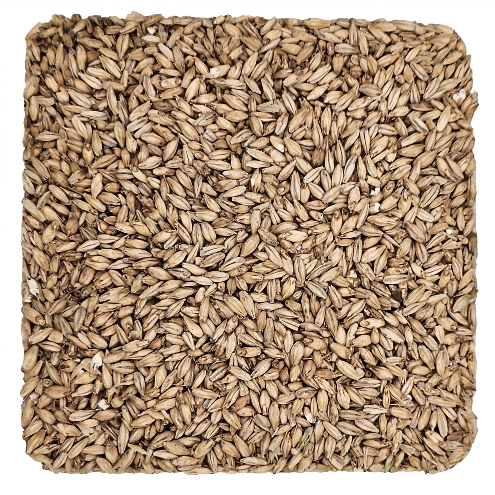 Briess 2-Row Distiller's Malt 2.4L - 10 lb (1880B)