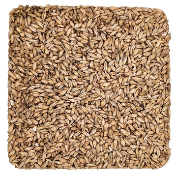 Briess 2-Row Distiller's Malt 2.4L - 10 lb (1880B)