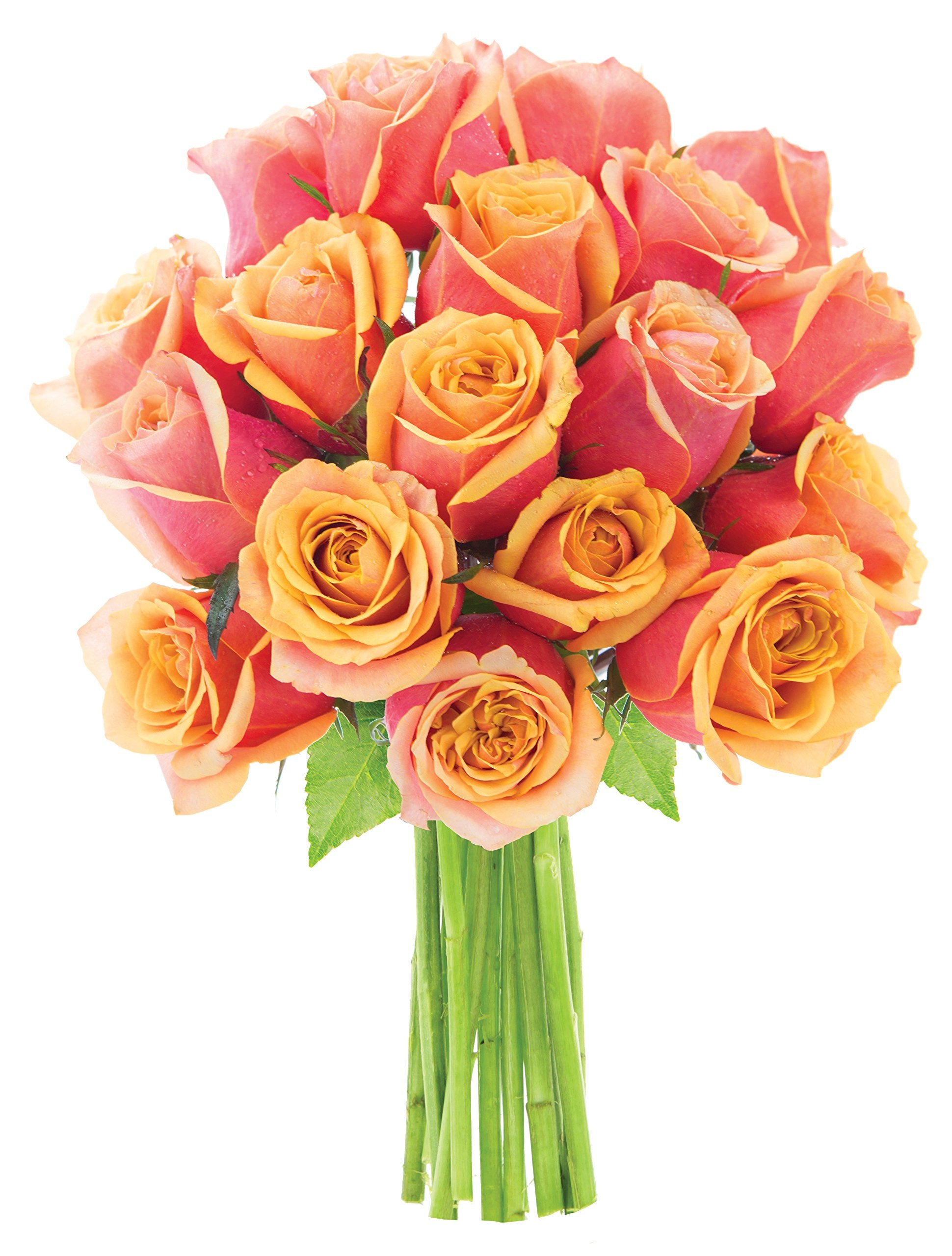 Kabloom Flowers - Valentine Collection - Bouquet Of 18 Fresh Orange Roses Without Vase(Farm-Fresh  Long-Stem). Gift For Birthday  Get Well Valentine  Mothers Day Fresh Flowers