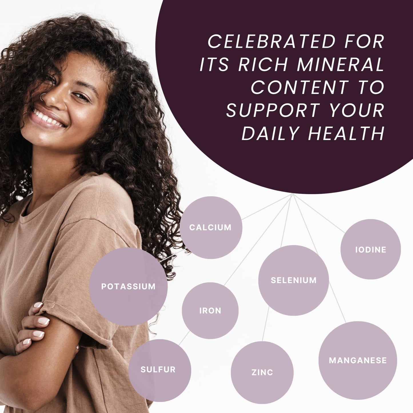 Reds Kitchen Sink Purple Sea Moss - Wildcrafted from St. Lucia | 16oz Makes ~200oz Sea Moss Gel | 100% Natural & Raw | Supports