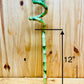 Generic Live Lucky Bamboo 12    Spiral Shape Bamboo Plant 10 Unit, Green