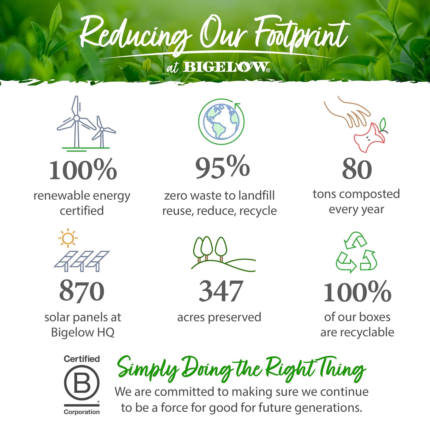 Bigelow Tea Tropical Iced Green Tea Keurig K-Cup Pods, Caffeinated Tea Keurig Tea Pods, 22 Count Box (Pack Of 4), 88 Total K-Cup