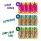 Daytrip Organic Sparkling Prebiotic Soda - Low Sugar, Low Calorie, 12-Pack Fruit Variety