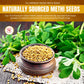 Taj Premium Indian Methi Seeds, Fenugreek Seeds, Trigonella Foenum Graecum, (14 Ounce)