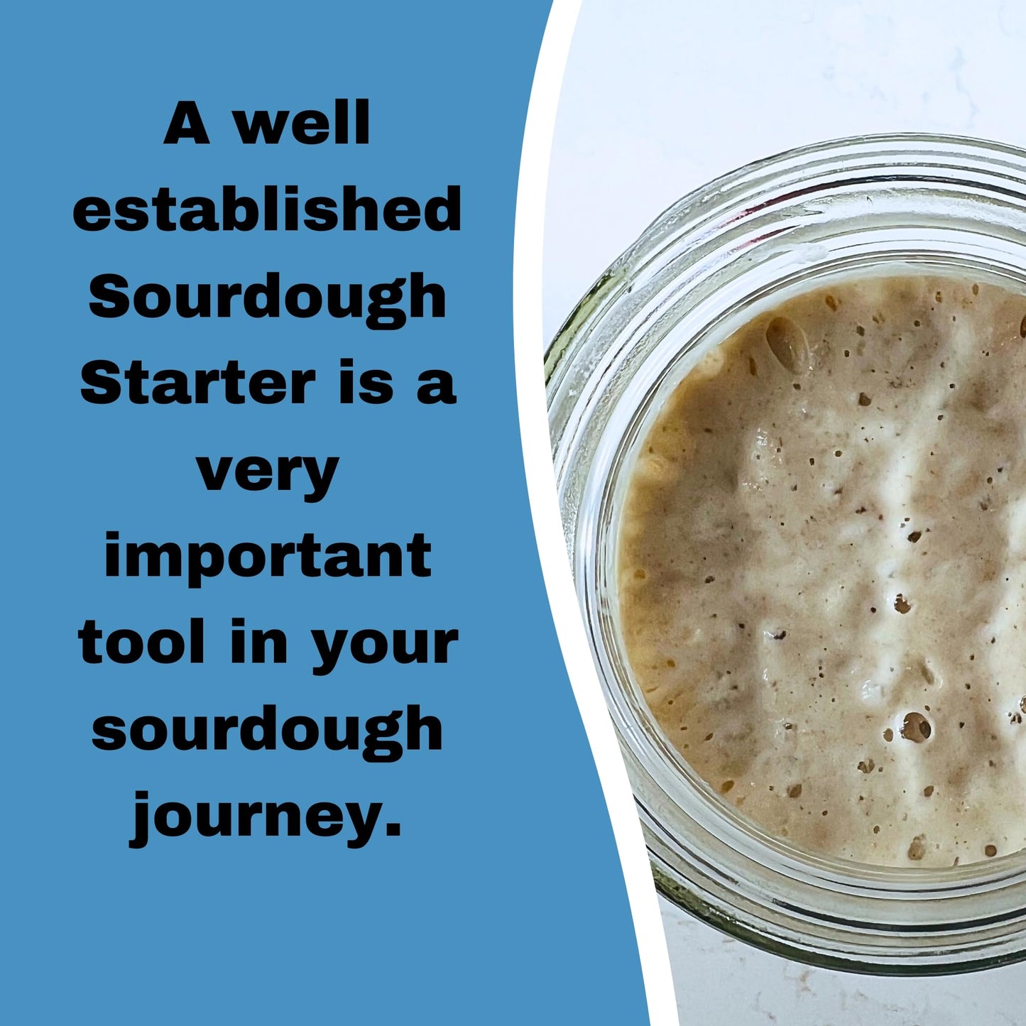 Generic 100+ Year Old SAN FRANCISCO Sourdough Starter | 0.99 oz | Includes Easy Instructions & Recipe | Perfect for Baking Enthusiasts