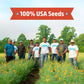 Seed Packet - Chives 'Garlic' 140Mg