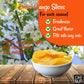Dried Mango | 1 Lb - Dried Fruit Slices | Less Sugar Added | Dehydrated Fruit Bites | Packed In New York Zip-Seal Bag For Exceptional Freshness By Oh Nuts
