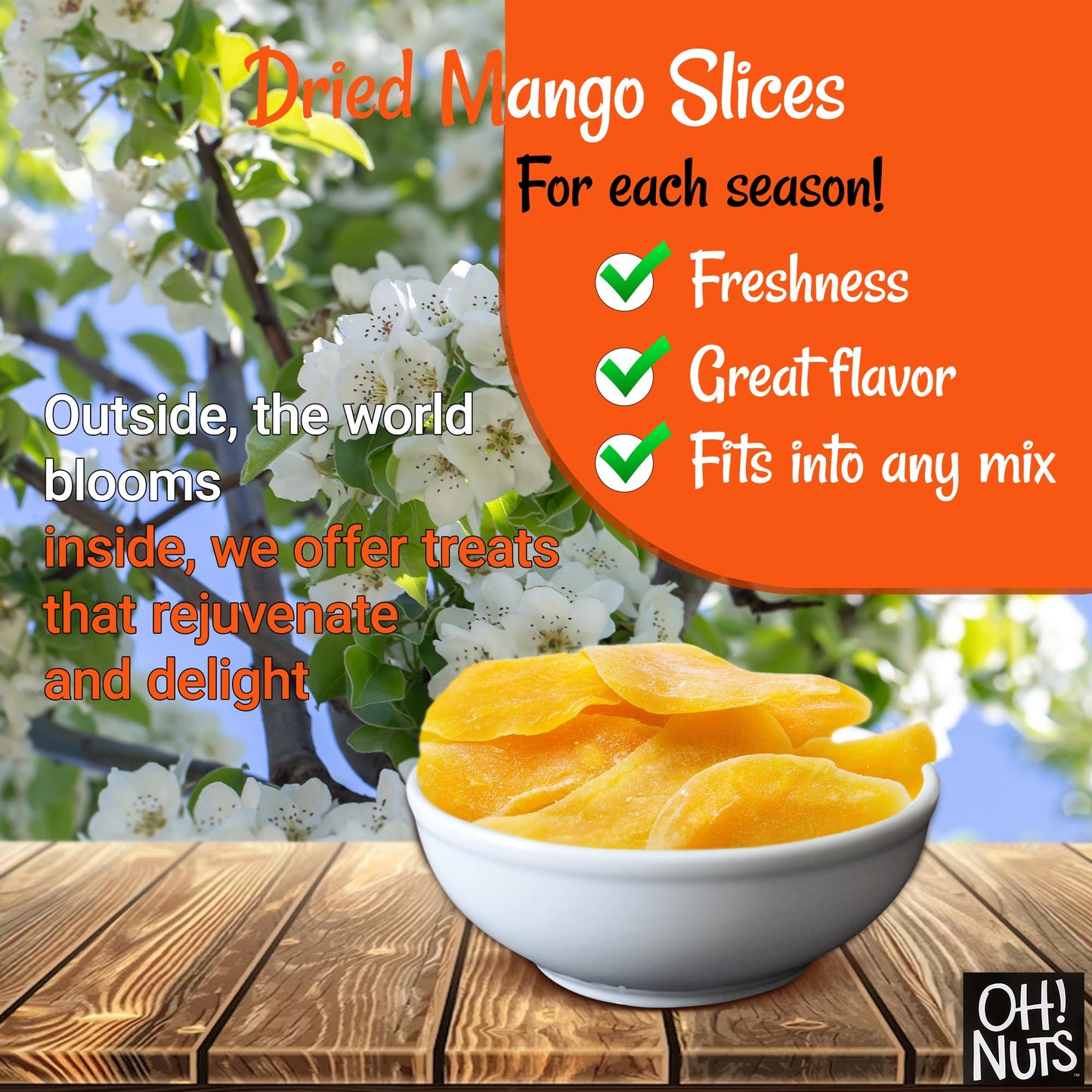 Dried Mango | 1 Lb - Dried Fruit Slices | Less Sugar Added | Dehydrated Fruit Bites | Packed In New York Zip-Seal Bag For Exceptional Freshness By Oh Nuts