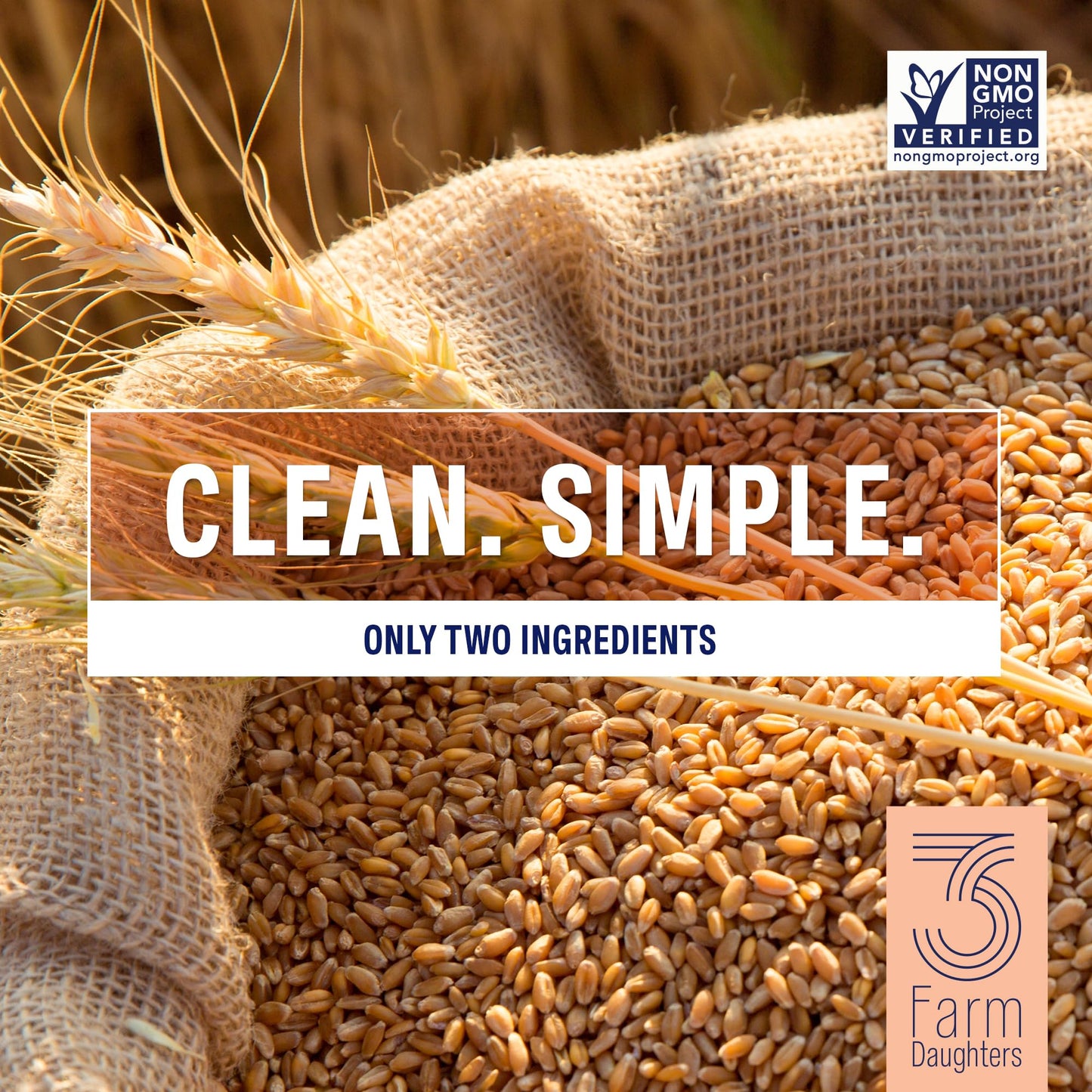 Three Farm Daughters X Molly Yeh High Fiber Orzo Pack, Irresistible, Low Gi, Non Gmo Orzo Pasta Noodles, Low Net Carb, Made In T