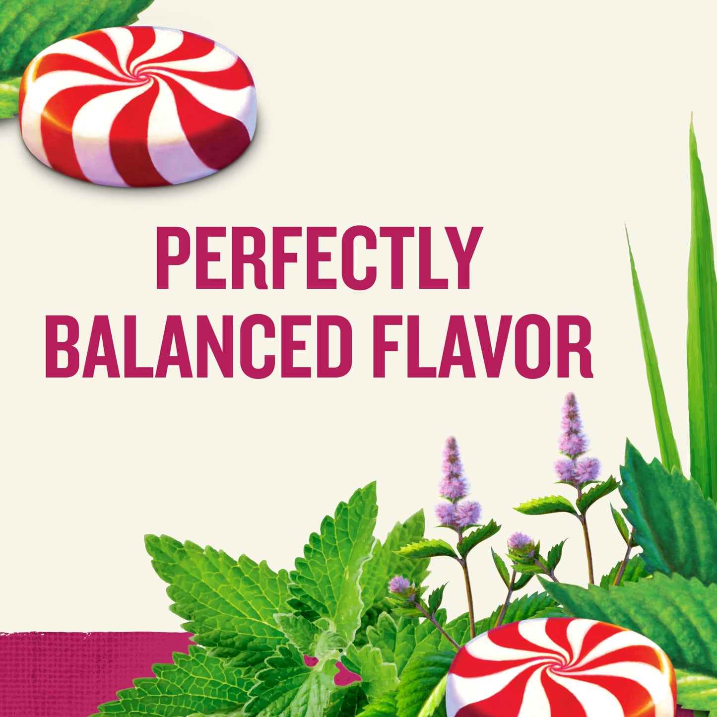 Celestial Seasonings Herbal Tea, Peppermint, Pack of 4, 20 Count