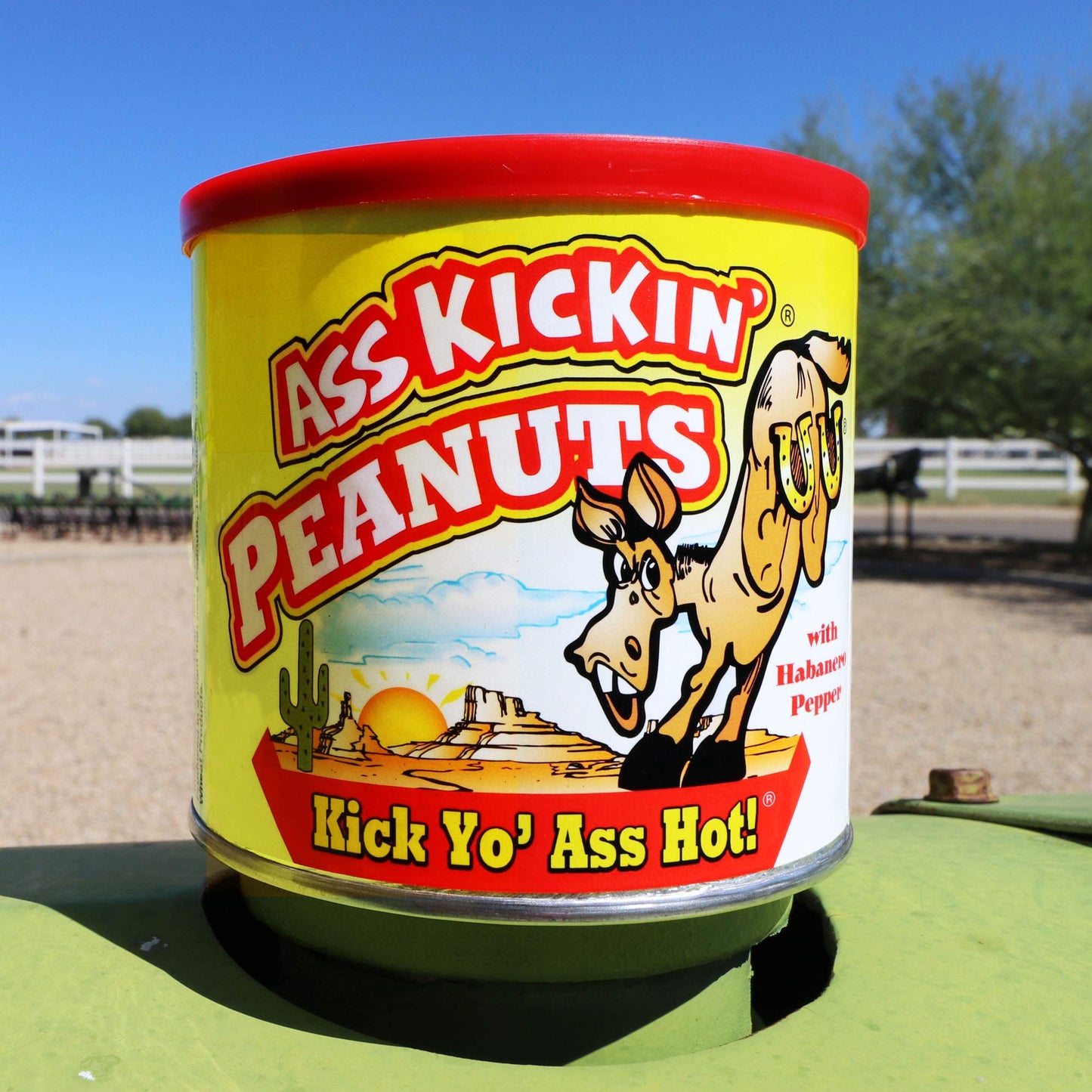 ASS KICKIN Habanero Pepper Hot Peanuts – 3 LB Spicy Gourmet Snack