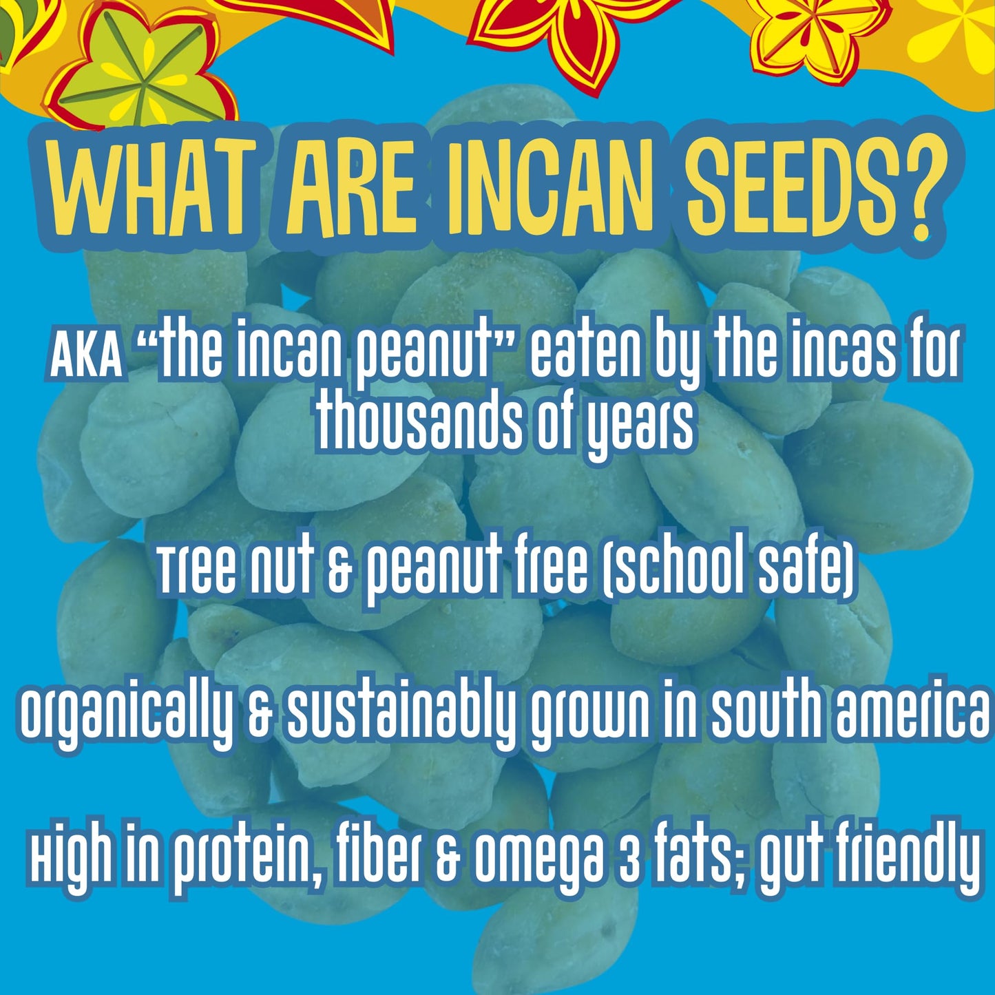 BRASS ROOTS Organic Incan Protein Seeds, Dark Chocolate Coated, 12 Pack, High Protein, Nut Free, 0.86 oz
