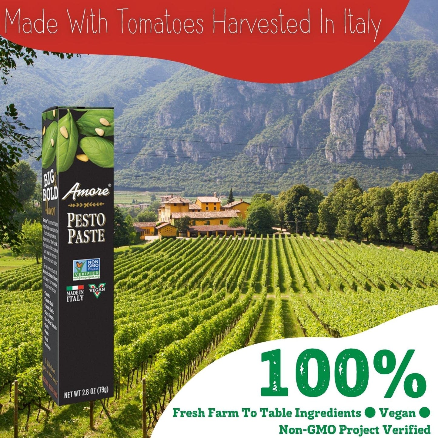 Amore Vegan Pesto Paste In A Tube - Non Gmo Certified And Made In Italy (Pack Of 1)