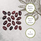 Roland Foods Whole Pitted Kalamata Olives From Greece, Specialty Imported Food, 5 Pound, Pack Of 1