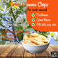 Dried Banana Chips by Oh! Nuts | 3 lb Dehydrated Fruit Slices | Light Sugar Added | Freshness-Sealed Bag