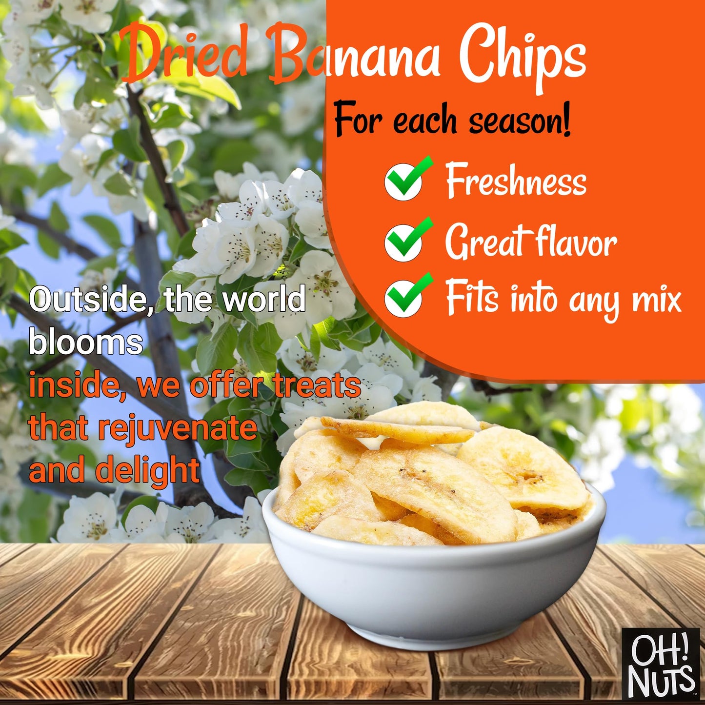 Dried Banana Chips by Oh! Nuts | 3 lb Dehydrated Fruit Slices | Light Sugar Added | Freshness-Sealed Bag