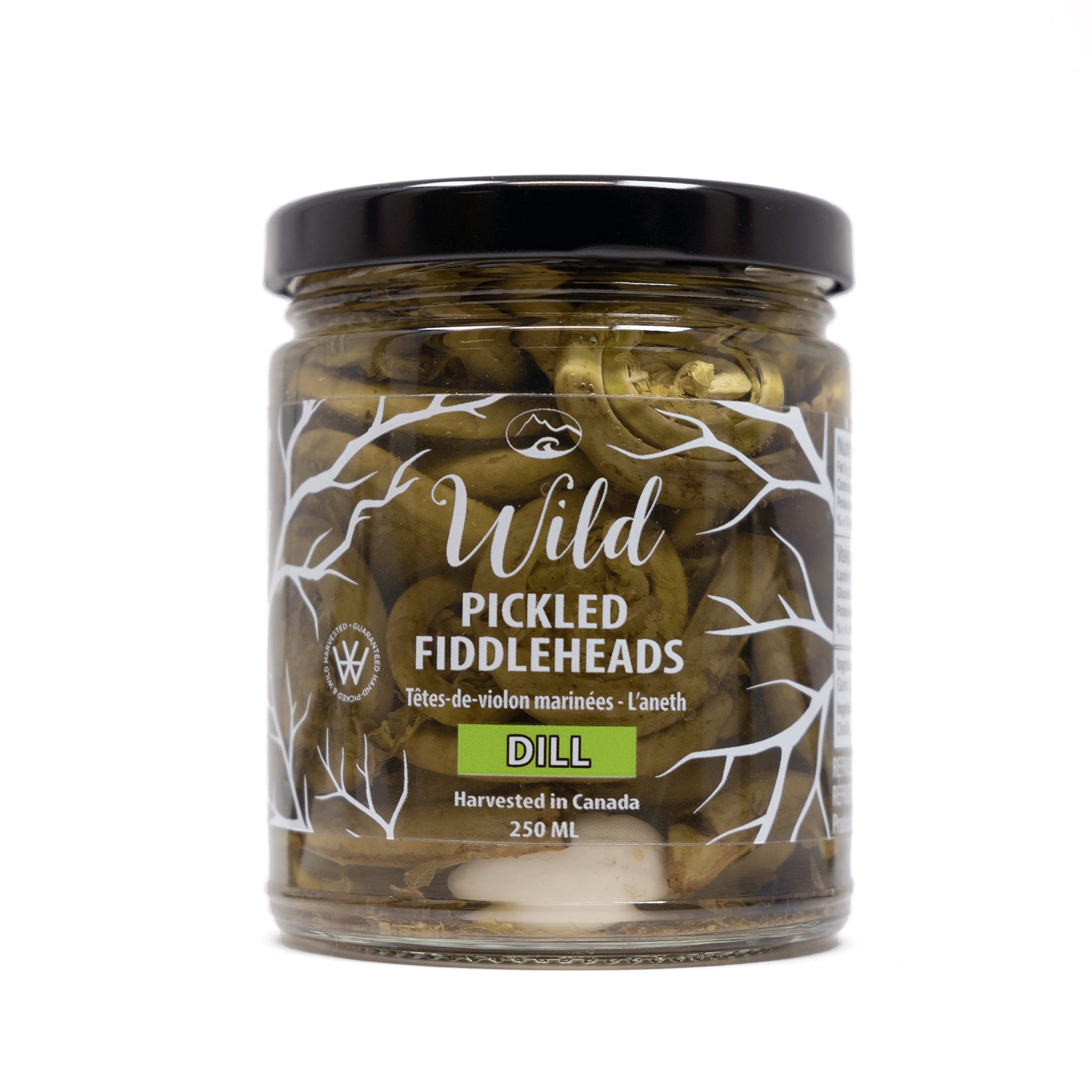 Wild Pickled Fiddleheads (Dill | 250ml - 8oz) | Local | West Coast Wild Foods