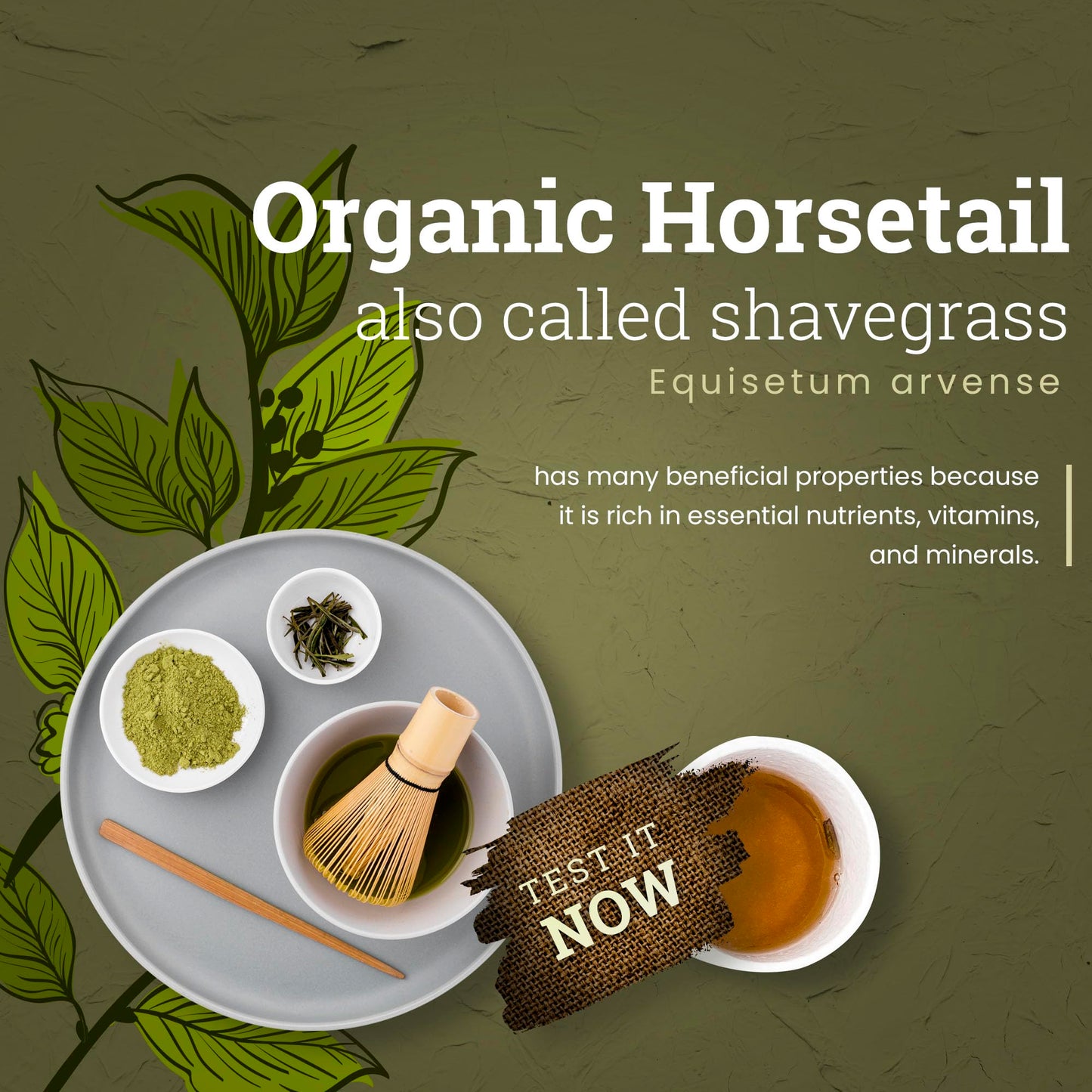 Biokoma Pure And Organic Horsetail Dried Leaves 50G In Resealable Pack Moisture Proof Pouch, Usda Certified Organic - Herbal Tea, No Additives, No Preservatives, No Gmo, Kosher