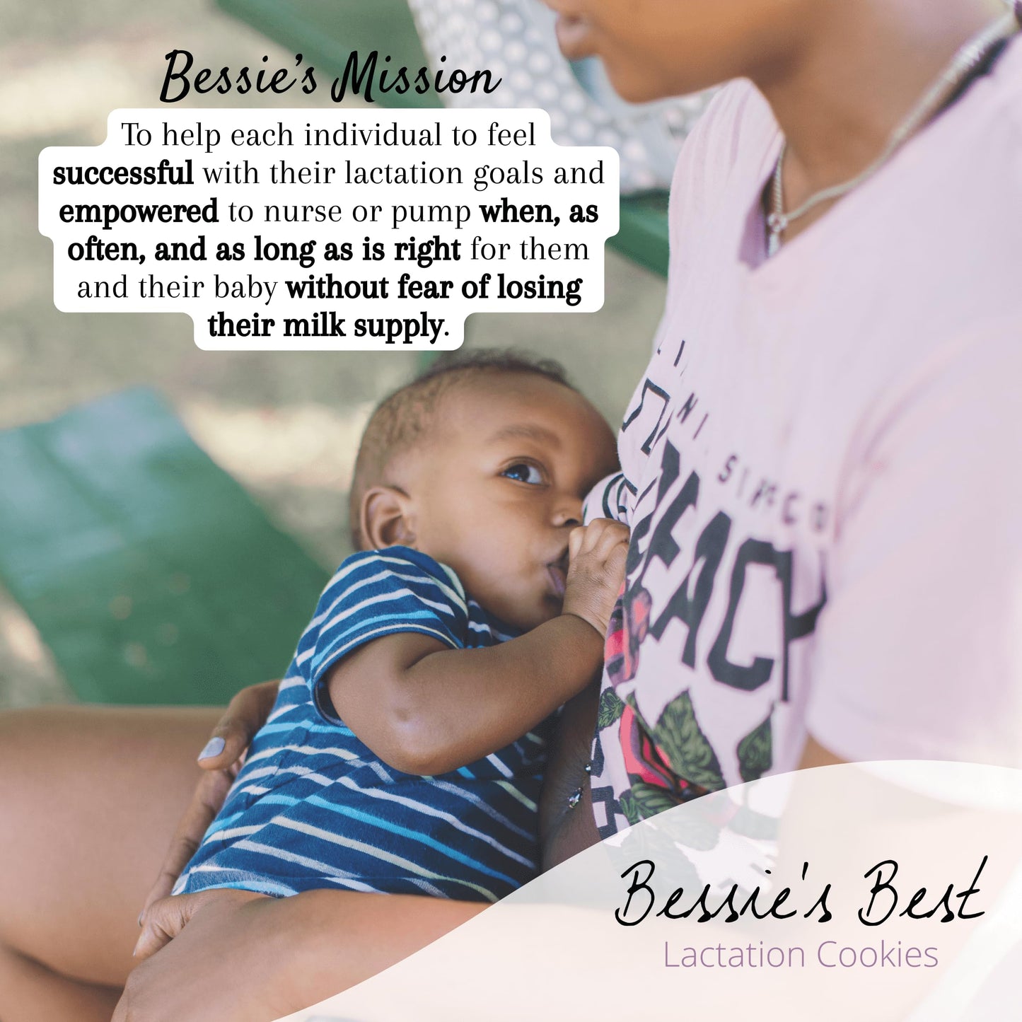 Bessies Best Lactation Support Cookies - Soft PB Chocolate Chip - 9 Count (Pack of 1) - Model LC-OTG