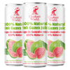 Elephant World 100% Natural Pink Guava Guayaba Juice | NON GMO | 10.8 oz (Pack of 12), Guava