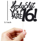 veegood Happy 53rd Birthday Cake Topper - Black Glitter, Funny Design for Men & Women, Model T630
