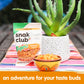 Snak Club Toasted Corn Nuggets with Chili and Lime, Non-GMO, Gluten-Free, 4 oz (Pack of 6), Orange Label
