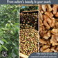 Walnuts | Dry Roasted Unsalted | 2 Lb | Packed In New York Zip-Seal Bag For Exceptional Freshness By Oh Nuts