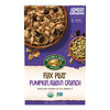 Nature s Path Organic Flax Plus Pumpkin Raisin Crunch Cereal, 12.3 oz (Pack of 12), Non-GMO