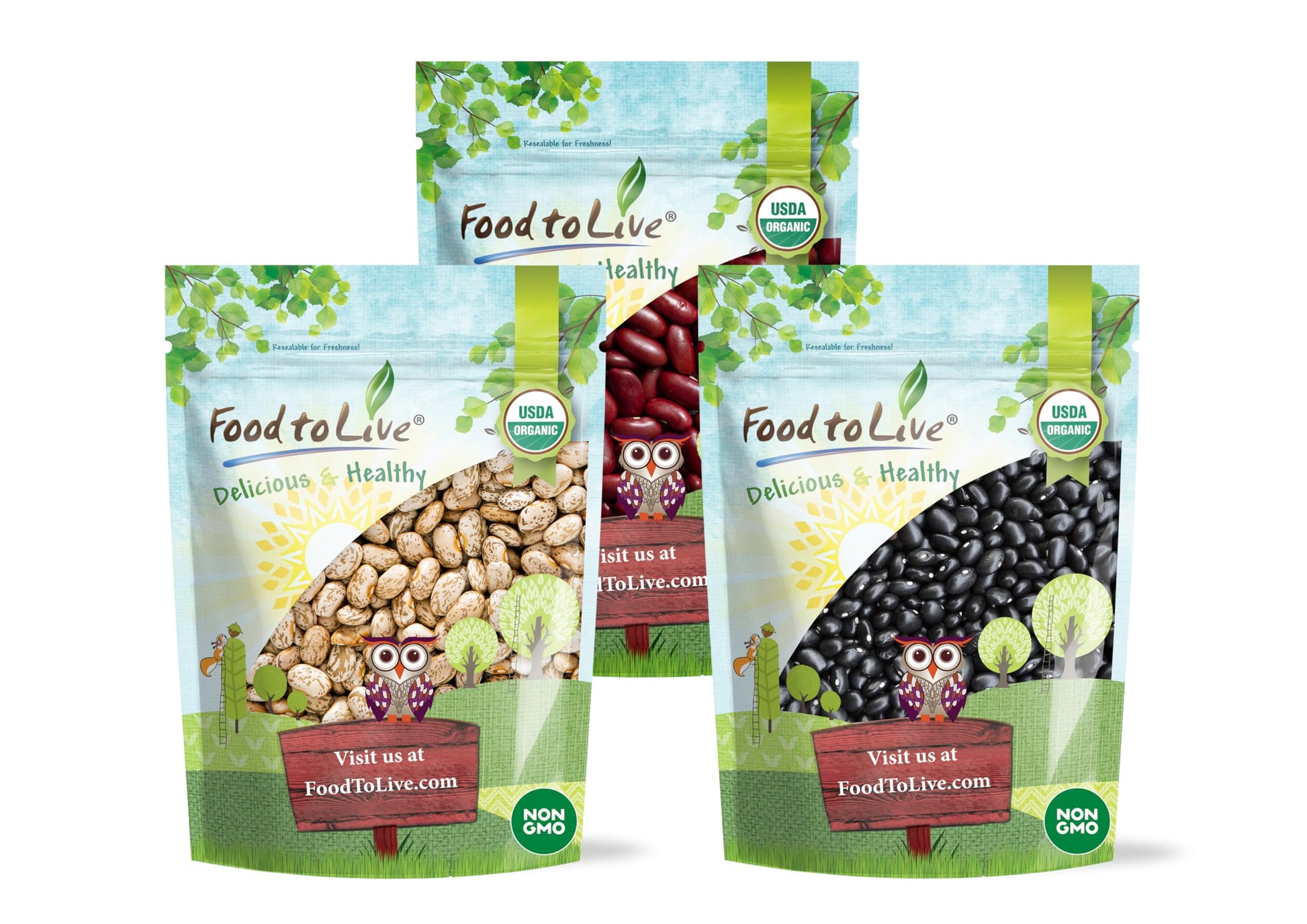 Food to Live Organic Dry Beans Bundle - Black, Pinto, Kidney Beans, 15 LB Total, Non-GMO, Vegan, Kosher, Bulk