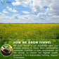 Premium Fennel Tea Bags, 100% Natural & Pure from Fennel Seeds. Fennel Seed Herbal Tea. Fennel Seed Tea. Made with Natural Material Tea Bags. No Sugar, No Caffeine, No Gluten, Vegan.